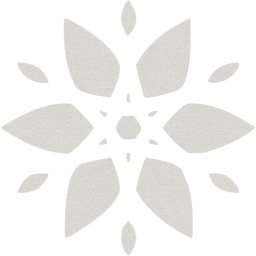 snowflake 23 icon