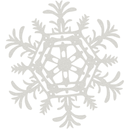 snowflake 25 icon