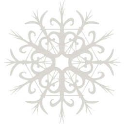 snowflake 28 icon