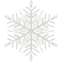 snowflake 37 icon