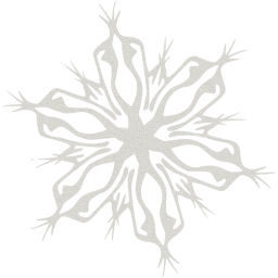 snowflake 4 icon