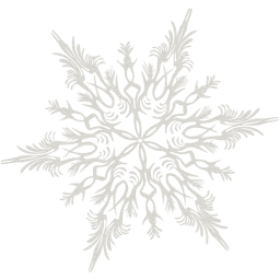 snowflake 41 icon