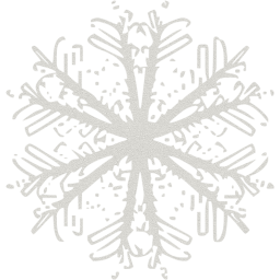 snowflake 49 icon