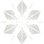 snowflake 5