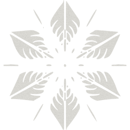 snowflake 5 icon