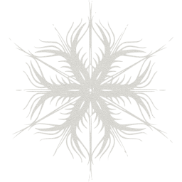 snowflake 53 icon