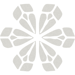 snowflake 9 icon