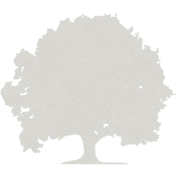 tree 22 icon