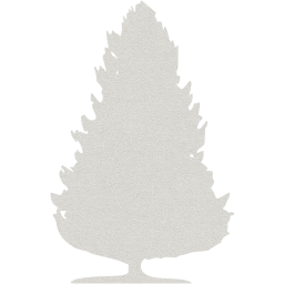 tree 64 icon