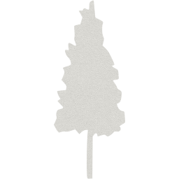 tree 75 icon