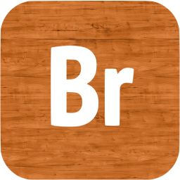 adobe br icon