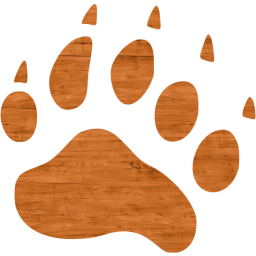 footprints bear icon