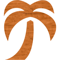 palm tree icon