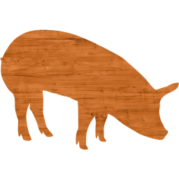 pig 5 icon