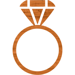 ring 2 icon