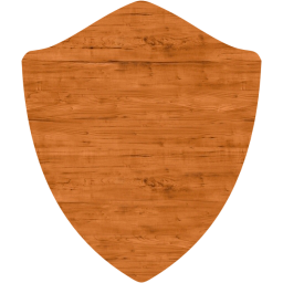 shield icon