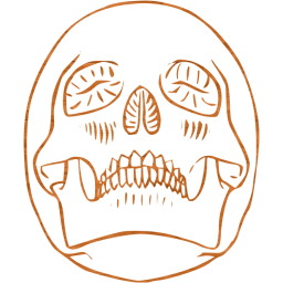 skull 29 icon