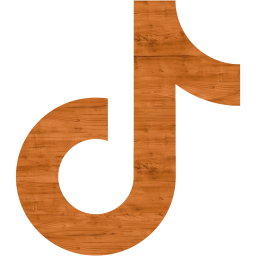 tiktok icon