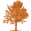 tree 18