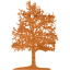 tree 26