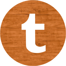 tumblr 4 icon