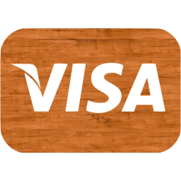 visa icon