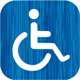 accessibility icon