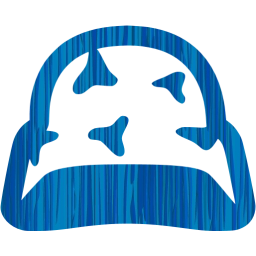 helmet icon