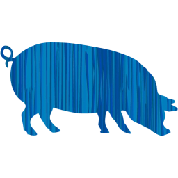 pig 4 icon