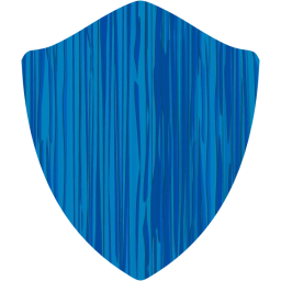 shield icon