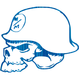 skull 14 icon