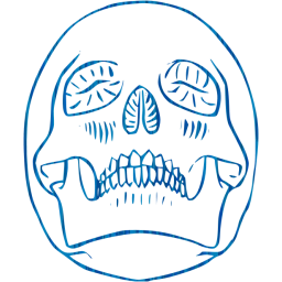 skull 29 icon