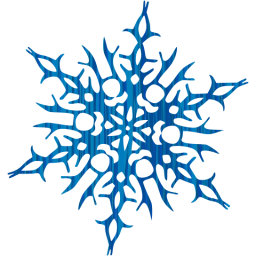 snowflake 14 icon