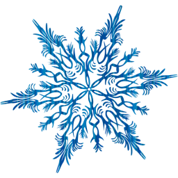 snowflake 41 icon