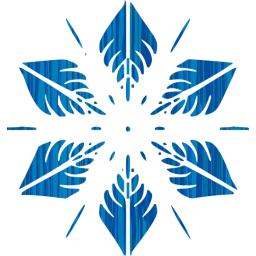 snowflake 5 icon