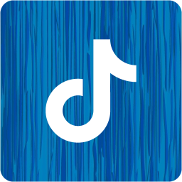 tiktok 2 icon