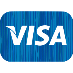 visa icon