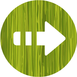 arrow right 5 icon