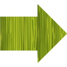 arrow icon