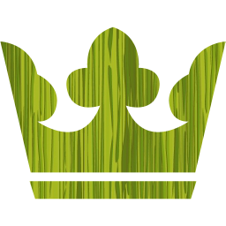 crown 2 icon