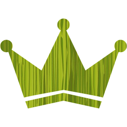 crown 3 icon