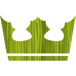 crown 4 icon