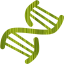 dna helix