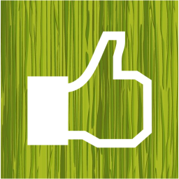 facebook like 2 icon