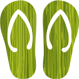 flip flop icon