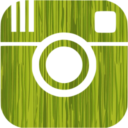 instagram icon