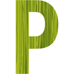 letter p icon