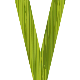 letter v icon