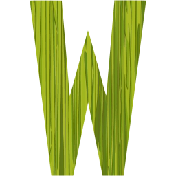 letter w icon