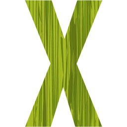 letter x icon